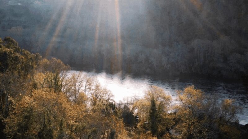 Lima Valley Tour with Vinho Verde Tasting - Wine Tasting at a Traditional Vinho Verde Estate