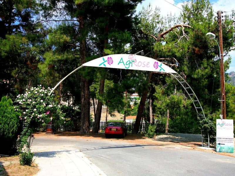 Limassol: Authentic Gourmet Tour with Wine and Food Tasting - Kafkalia: Traditional Jam and Preserves