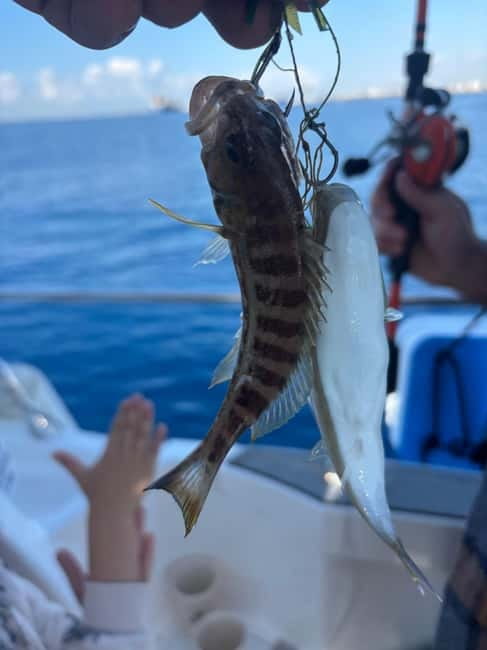 Limassol: Boat trip with swimming stop - Swims and Snorkeling in Crystal-Clear Bays