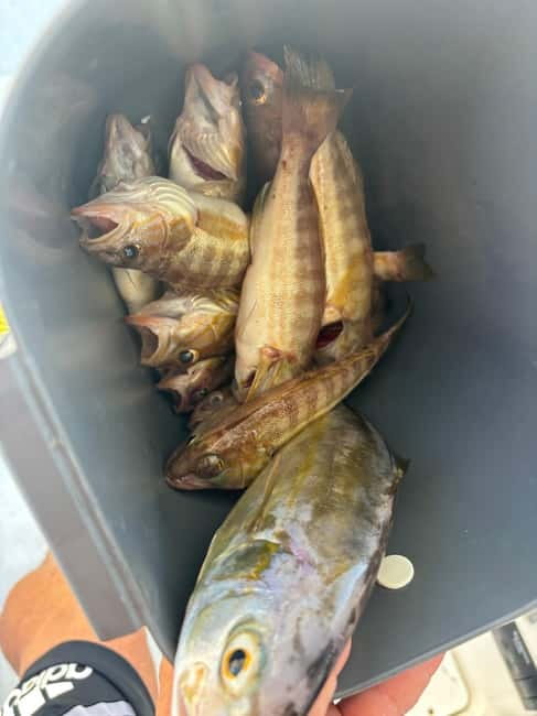 Limassol: Boat trip with swimming stop - Safety, Accessibility, and Suitability