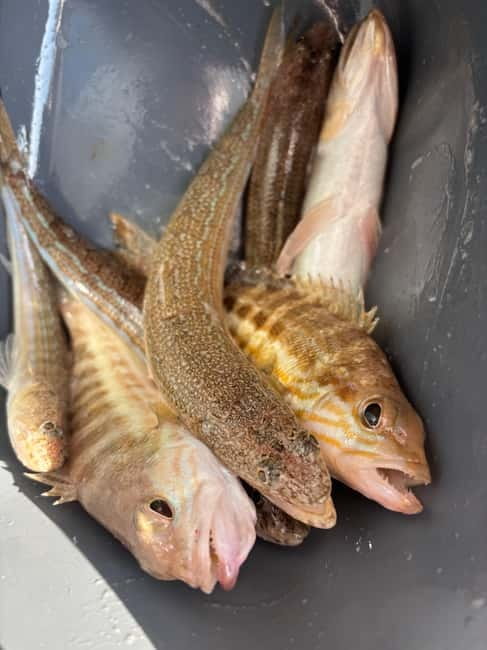 Limassol: Boat trip with swimming stop - Limitations and Honest Considerations