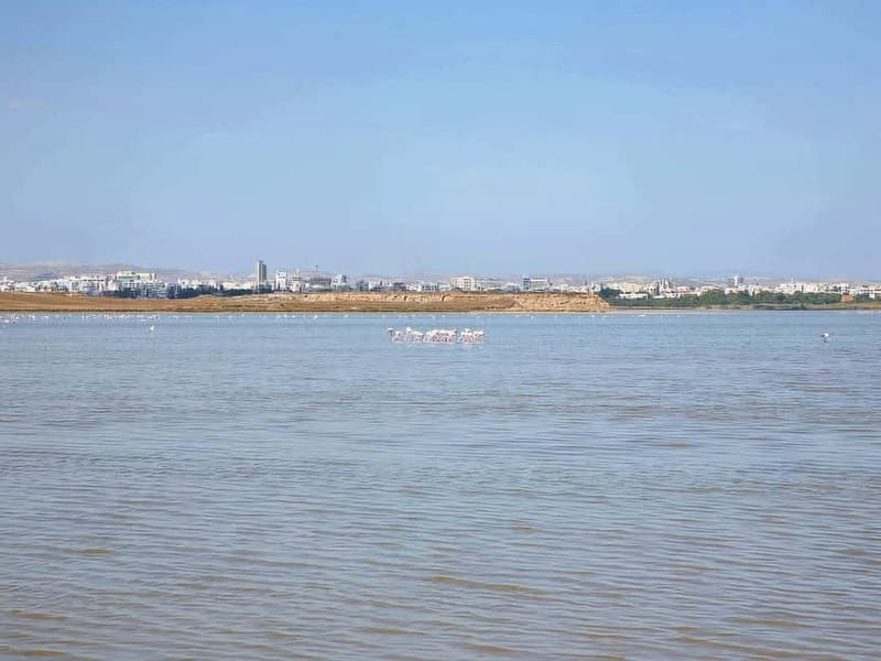 Limassol: Larnaca and Nicosia North Cyprus Private Tour - Crossing the Green Line into North Nicosia
