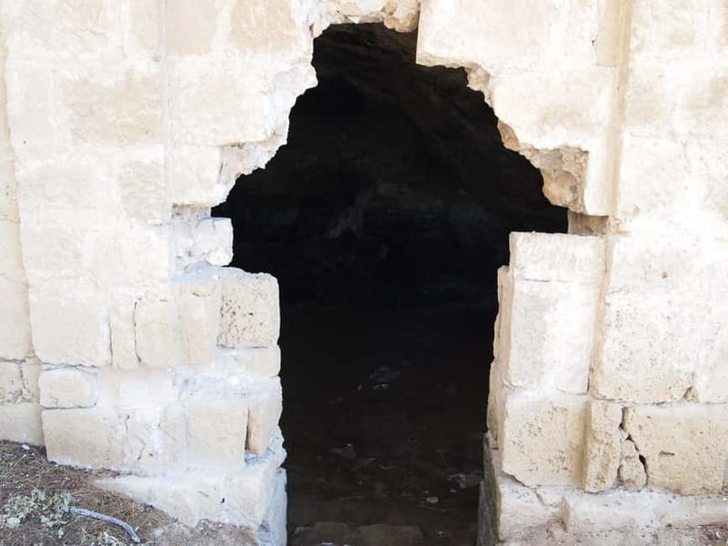 Limassol: Shore Excursion to Paphos from Past to Present - Paphos Castle and Coastal Views