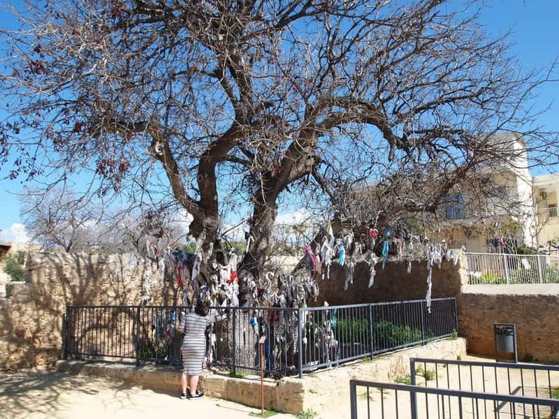 Limassol: Shore Excursion to Paphos from Past to Present - Logistics and Group Size