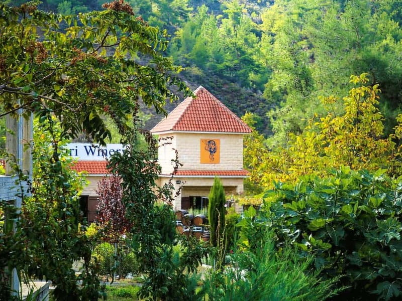 Limassol: Troodos, Kykkos Monastery, Omodos and Winery Tour - Who Will Appreciate This Tour