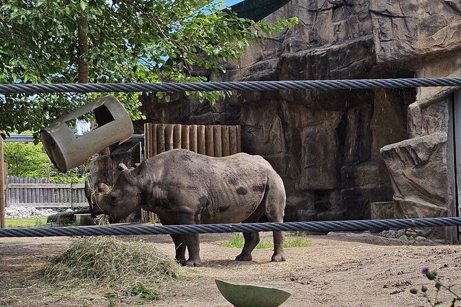 Lincoln Park Nature Museum and Zoo Public Walking Tour - Inside the Lincoln Park Conservatory’s Exotic Gardens