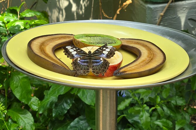 Lincoln Park Nature Museum and Zoo Public Walking Tour - Pacing and Overall Experience