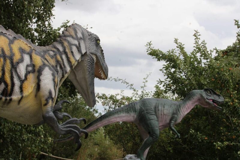 Lincolnshire: ARK Wildlife and Dinosaur Park Entry Ticket - How to Visit and What to Expect at the Meeting Point