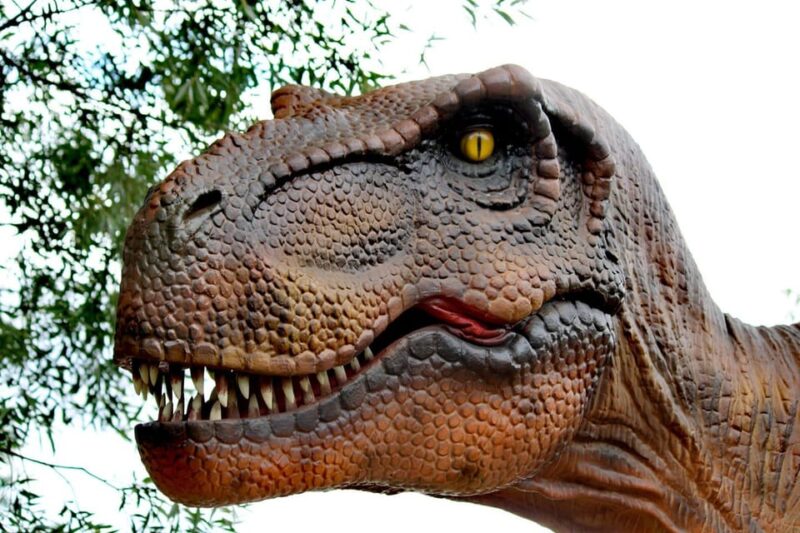 Lincolnshire: ARK Wildlife and Dinosaur Park Entry Ticket - Why the ARK Wildlife and Dinosaur Park Offers Good Value