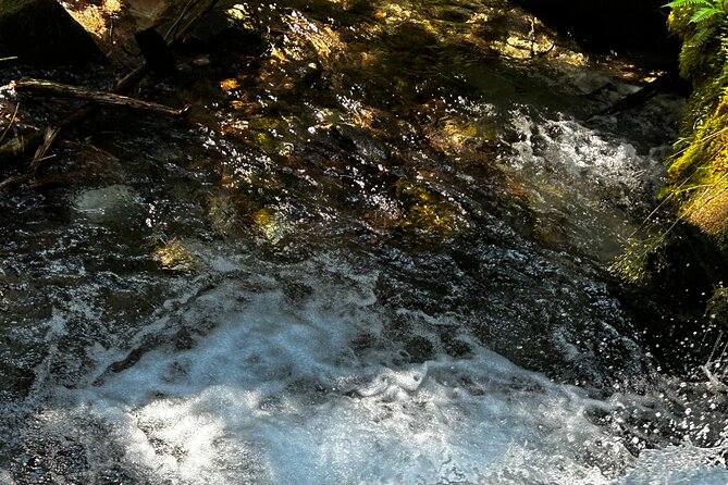 Lindeman and Chilliwack Lakes Sightseeing Tour - Lindeman Lake’s Dazzling Turquoise Waters and Scenic Trail