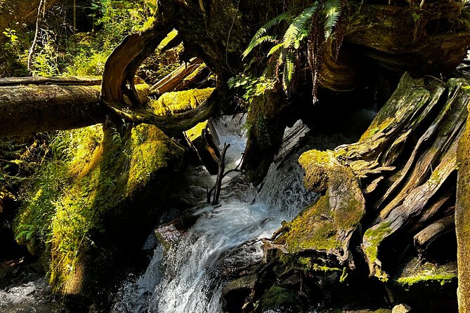 Lindeman and Chilliwack Lakes Sightseeing Tour - Flexibility and Dining Options