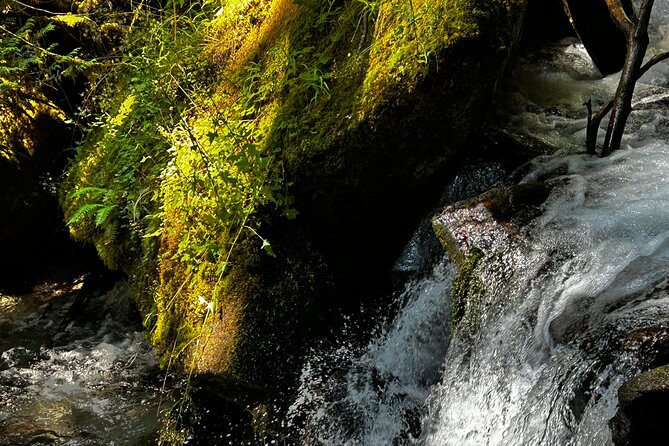 Lindeman and Chilliwack Lakes Sightseeing Tour - Who Will Enjoy This Tour Most