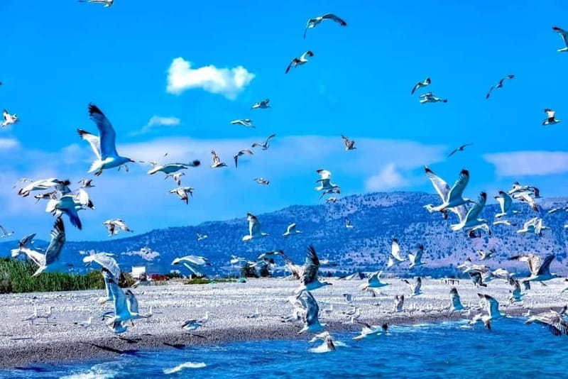 Lindos: 3 Hour Glass Bottom Boat Tour with Snorkelling - The Modern Boat: Safety and Comfort on the Water