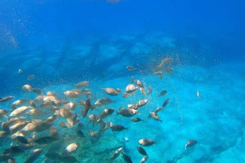 Lindos: 3Hour Hippo Submarine with Swim Stop at Navarone Bay - Scenic Cruise Past Lindos and Vlicha Coastline