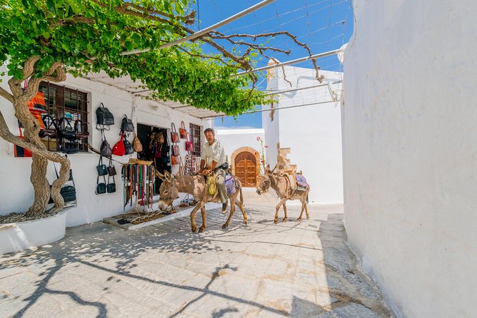Lindos by Express MiniBus (Small Group) - Visiting the Iconic Lindos Acropolis