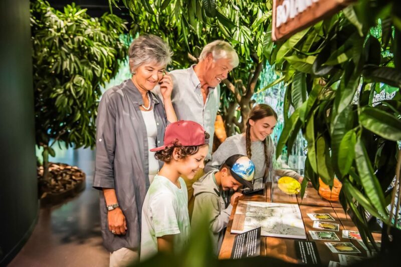 Lindt Home of Chocolate Museum Entry Ticket - Multimedia Exhibits Explaining Chocolate’s Global Impact