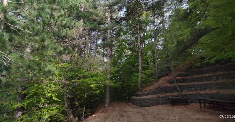 Linguaglossa: North Etna Guided Forest Walking Tour - Key Points