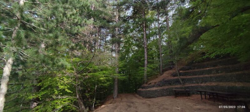 Linguaglossa: North Etna Guided Forest Walking Tour - Practical Details: Meeting Points and What’s Included