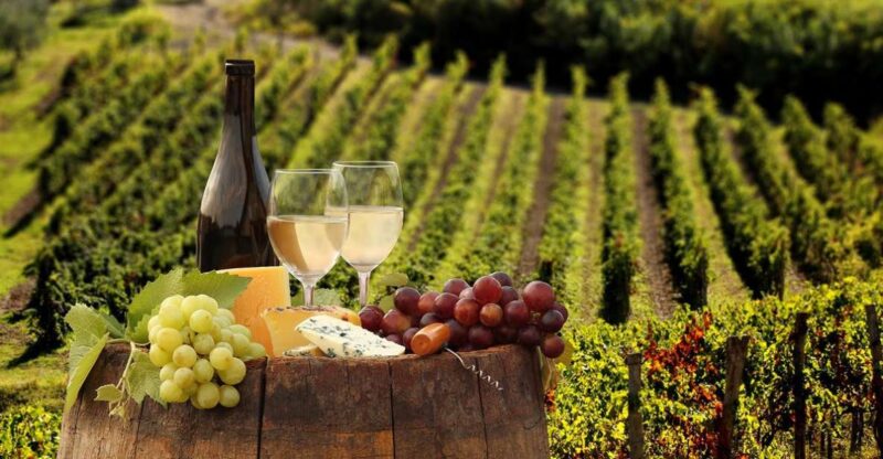 Linguaglossa: Wine Tasting Experience at Etna Nord - Wine Tasting at the Hilltop Vineyard with Views of Mount Etna