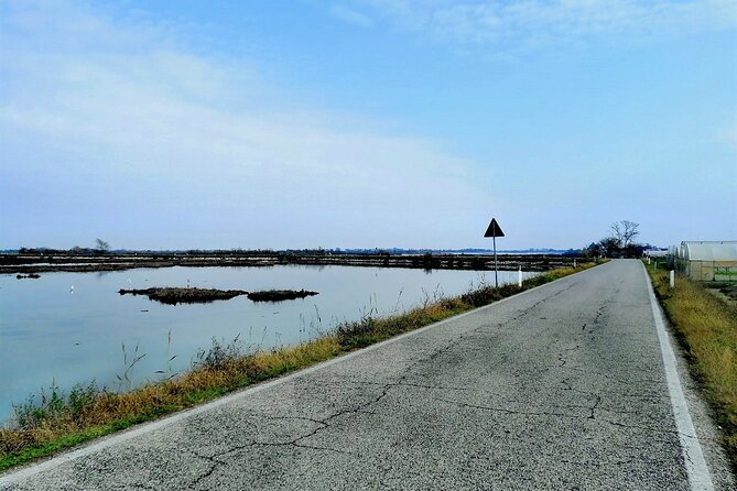 Lio Piccolo: Flamingos & Birdwatching Bike Tour in the Lagoon - Starting Point at Fondamente Nove and Lagoon Crossing