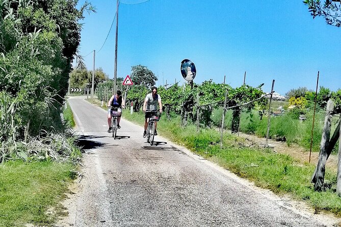Lio Piccolo: Flamingos & Birdwatching Bike Tour in the Lagoon - Scenic Cycling and Lagoon Landscapes