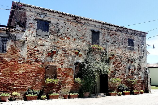 Lio Piccolo: Flamingos & Birdwatching Bike Tour in the Lagoon - The Experience of a Guided Nature Walk and Bike Ride