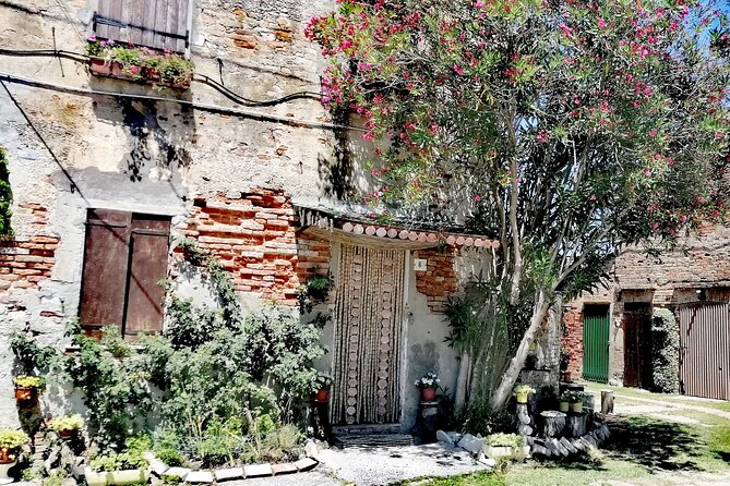 Lio Piccolo: Flamingos & Birdwatching Bike Tour in the Lagoon - Practical Tips and What’s Not Included