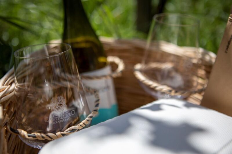LIPARI WINERY - PIC NIC IN THE VINEYARD - Experience the Beauty of Sicily with a Vineyard Picnic and Wine Tasting