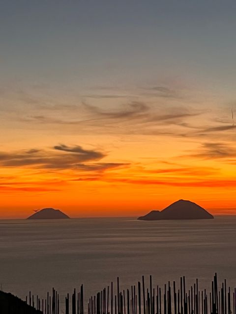 LIPARI WINERY - PIC NIC IN THE VINEYARD - Key Points