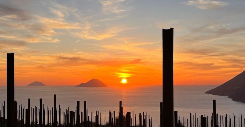 LIPARI WINERY - PIC NIC IN THE VINEYARD - Guided Tour of Castellaro Winery