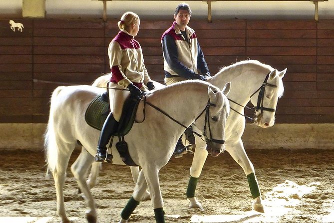 Lipica Stud Farm and Skocjan Caves from Piran or Portoroz or Izola - Practical Details and What to Expect