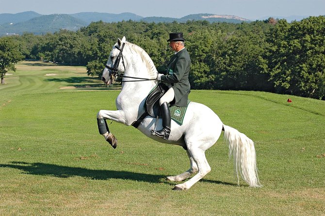 Lipica Stud Farm- Private Experience from Koper - Optional Lunch in a Family-Run Restaurant