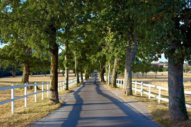 Lipica Stud Farm- Private Experience from Koper - Visiting Kopers Old Town or Ending the Tour