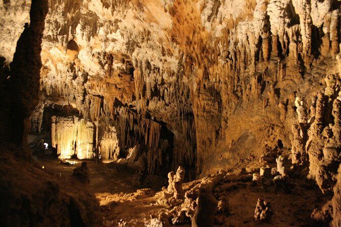 Lipica Stud Farm & Skocjan Caves - Small Group Tour from Koper - Frequently Asked Questions
