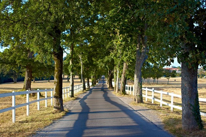 Lipica Stud Farm & Skocjan Caves - Small Group Tour from Trieste - Final Thoughts on the Lipica & Skocjan Caves Tour