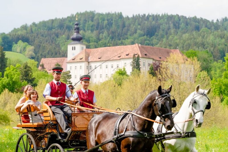 Lipizzaner Stud Piber: Guided Tour - Potential Limitations and Tips for Visitors
