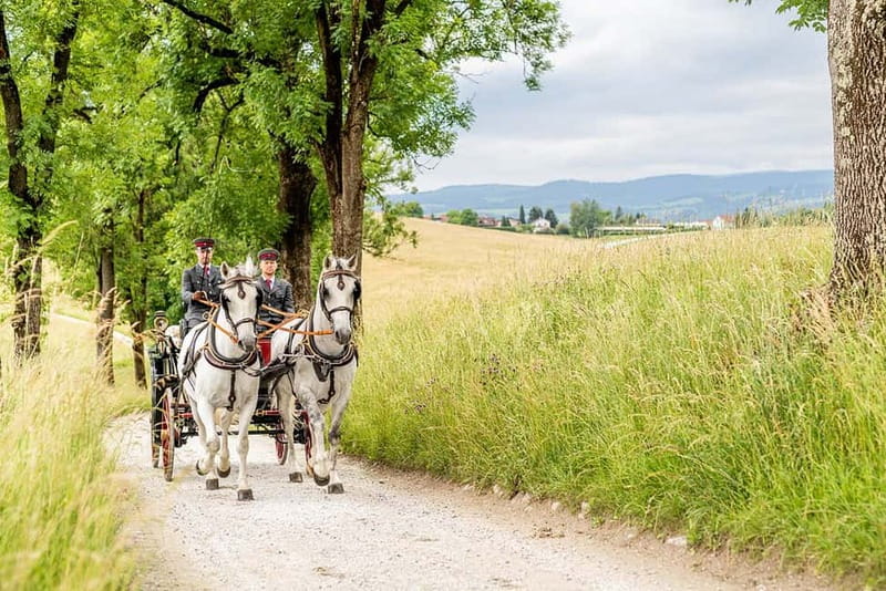 Lipizzaner Stud Piber: Independent Visit - Explore the Birthplace of the Famous Lipizzaner Horses in Austria