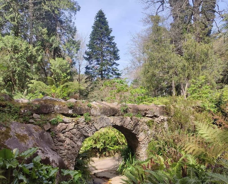 Lisboa, Sintra, Cabo da Roca, Cascais - Visiting Sintra’s Historic Center and Local Landmarks