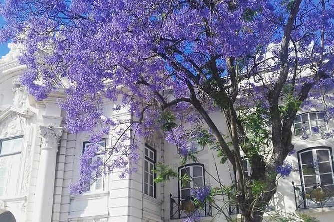 Lisbon 3 Hour Private Segway Cultural Tour with Local Guide - Discovering Lisbon’s Historic Landmarks