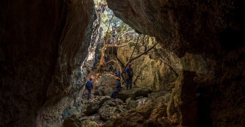 Lisbon: Adventure Circuit, Arrábida Park, Setubal, Sesimbra - The Challenge of the Arrábida Adventure Circuit