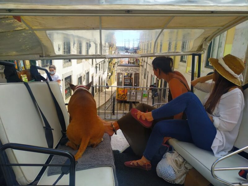 Lisbon: All City Premium Private Guided Tour by Tuk-Tuk - Key Points