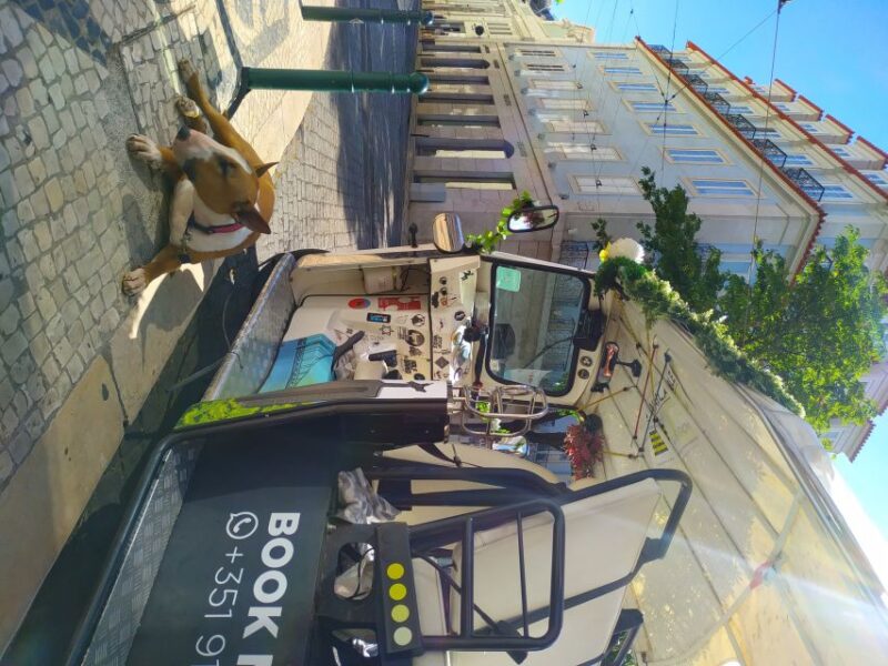 Lisbon: All City Premium Private Guided Tour by Tuk-Tuk - The Guide and Personalization