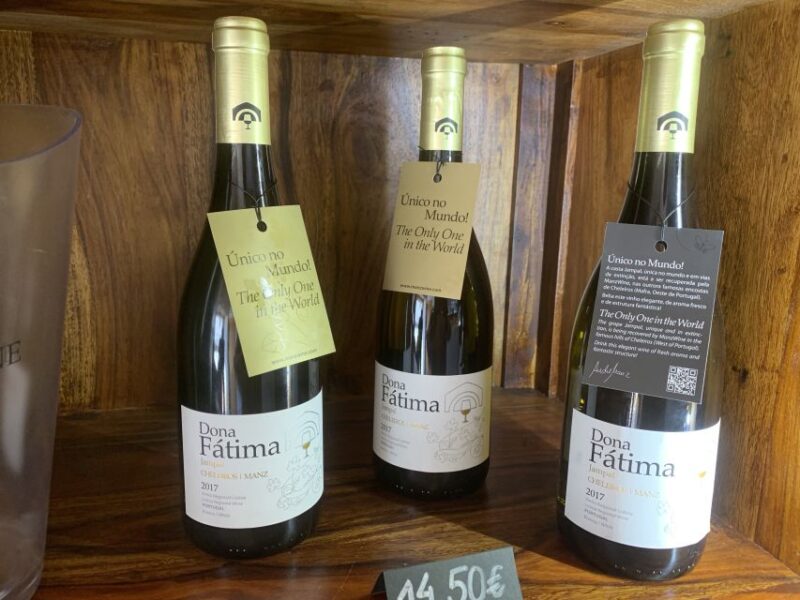 Lisbon Area Wine Tour - Exploring One of Portugal’s Major Wineries in the Region