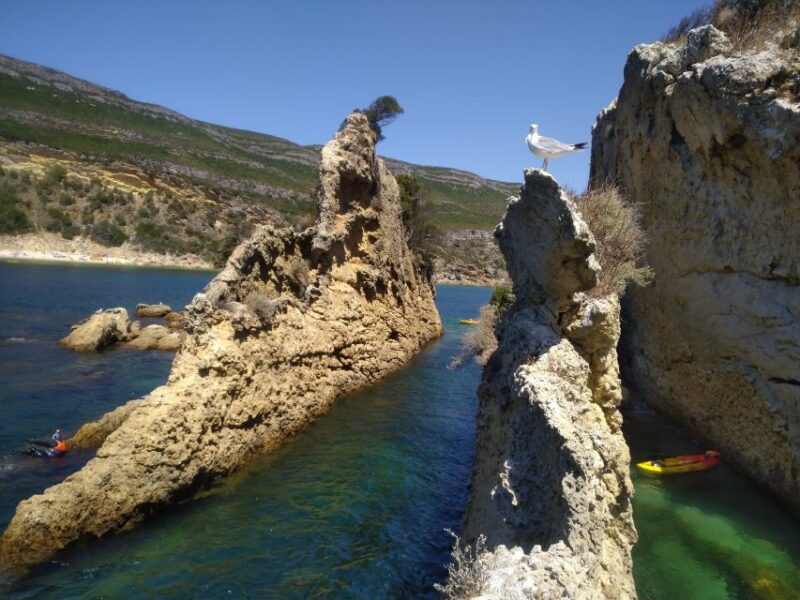 Lisbon: Arrábida Kayak and Coasteering Adventure Tour - Logistics and Practical Details
