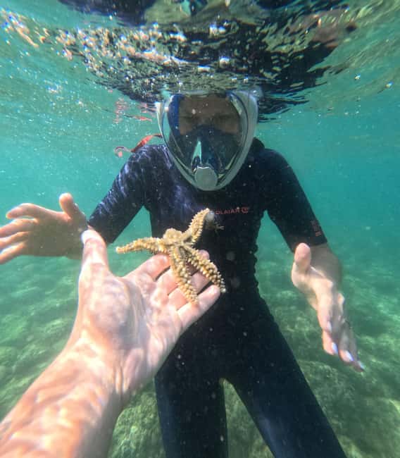 Lisbon: Arrábida Kayak & Wild Beach Snorkeling Pickup Option - Physical Requirements and Suitability