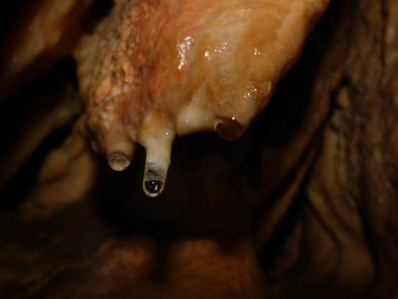 Lisbon: Arrábida Natural Park Cave Tour with Guide - Why This Cave Tour Stands Out in Arrábida Natural Park