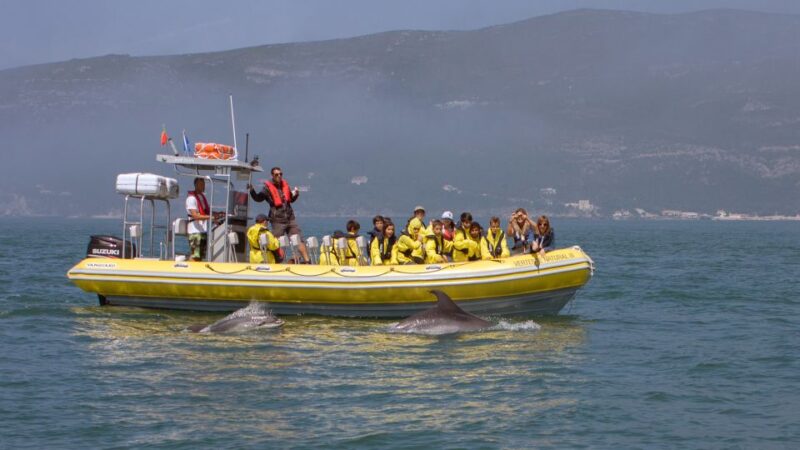 Lisbon: Arrábida Natural Park Dolphin Watching Boat Tour - The Scenic Coastal Landscape of Arrábida