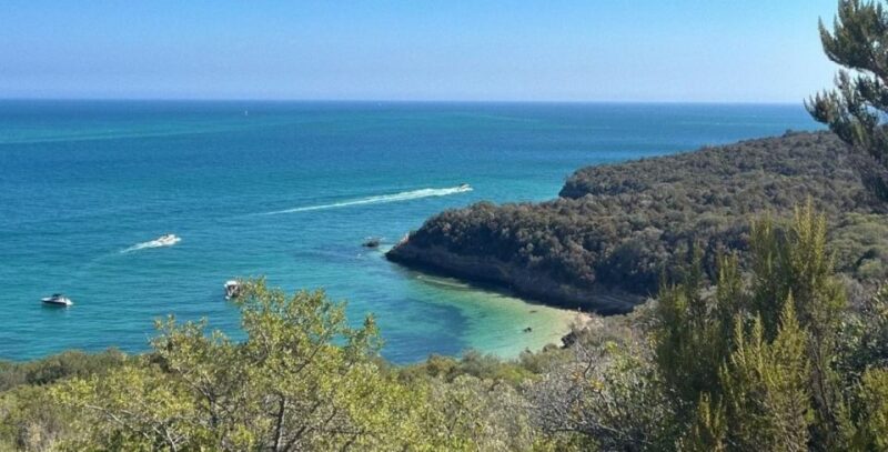 Lisbon: Arrábida & Sesimbra w/ Palmela Castle & Wine Tasting - Lunch and Leisure in Sesimbra’s Seaside Charm