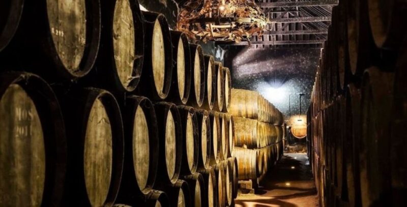 Lisbon: Arrábida & Sesimbra w/ Palmela Castle & Wine Tasting - Scenic Drive Through Arrábida Natural Park