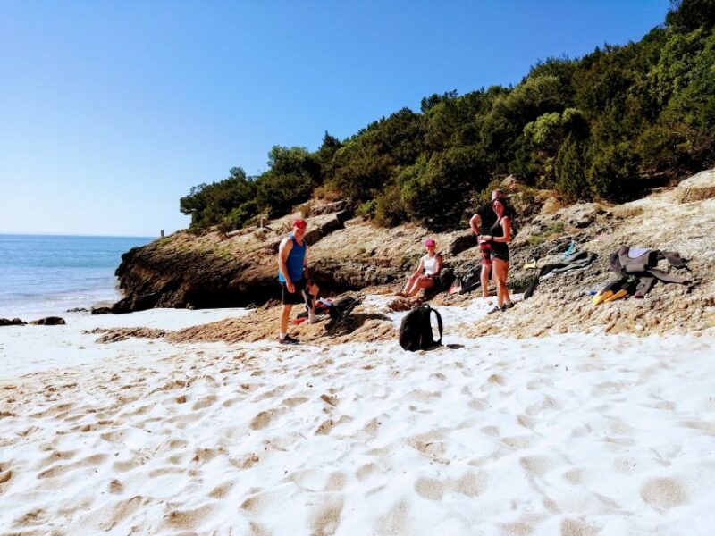 Lisbon: Arrábida Snorkeling Adventure - Discover the Beauty of the Lisbon: Arrábida Snorkeling Adventure